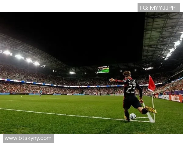 聚焦绿茵场璀璨之星77号探秘他背后的荣耀与奋斗之路